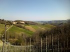 Full-Immersion in Oltrepo' con visita alle cantine - CASA CASONI