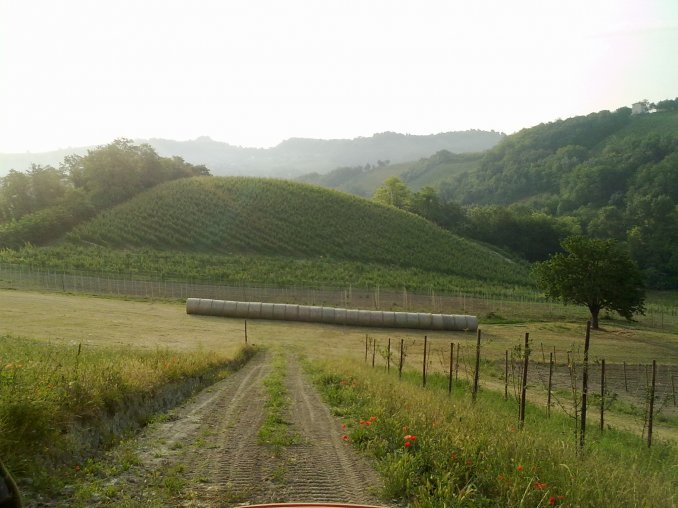  - Agriturismo Casa Casoni 