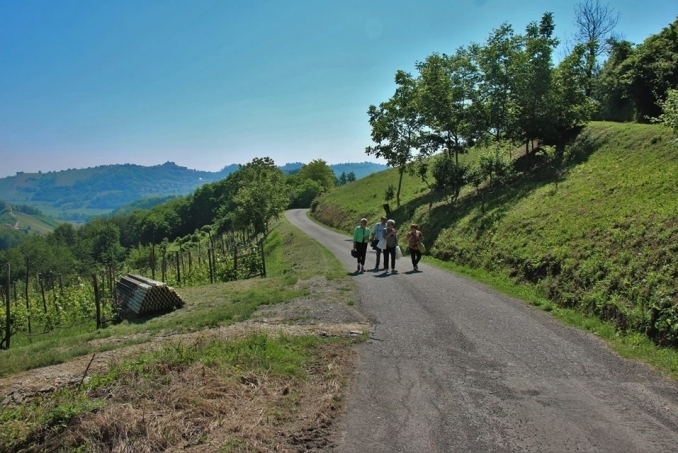 Passeggiata nei pressi dell'Agriturismo - CASA CASONI