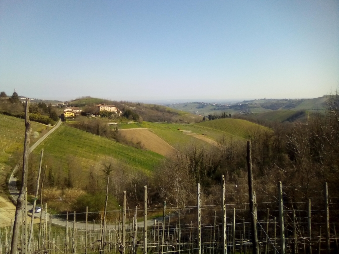 Full-Immersion in Oltrepo' con visita alle cantine - Agriturismo Casa Casoni 